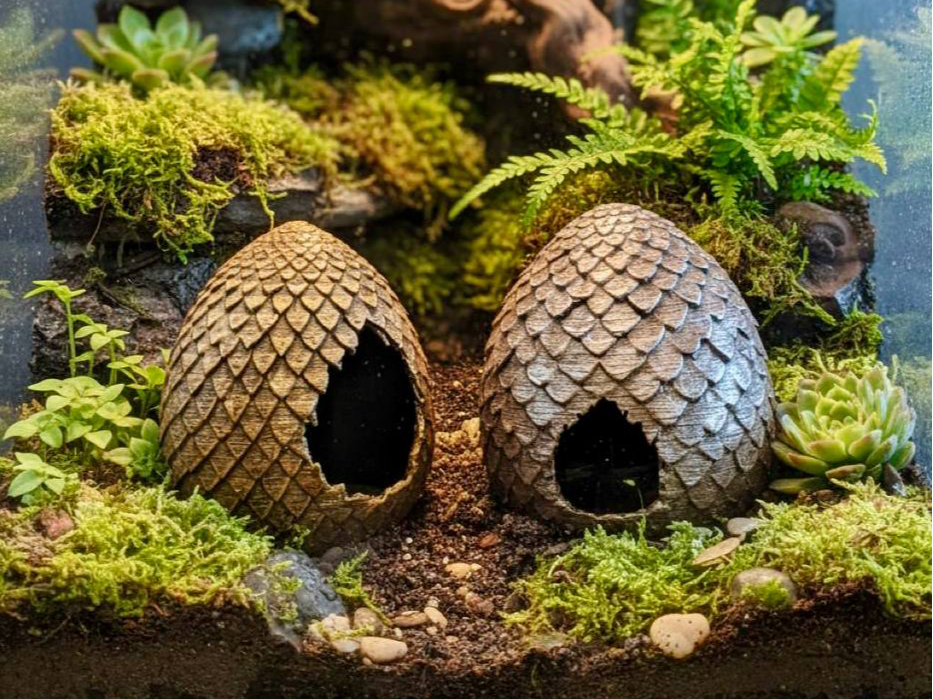 Dragon Egg Hideaway