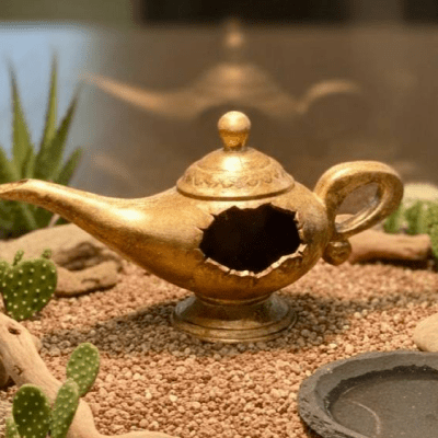 Magic Lamp Hideaway