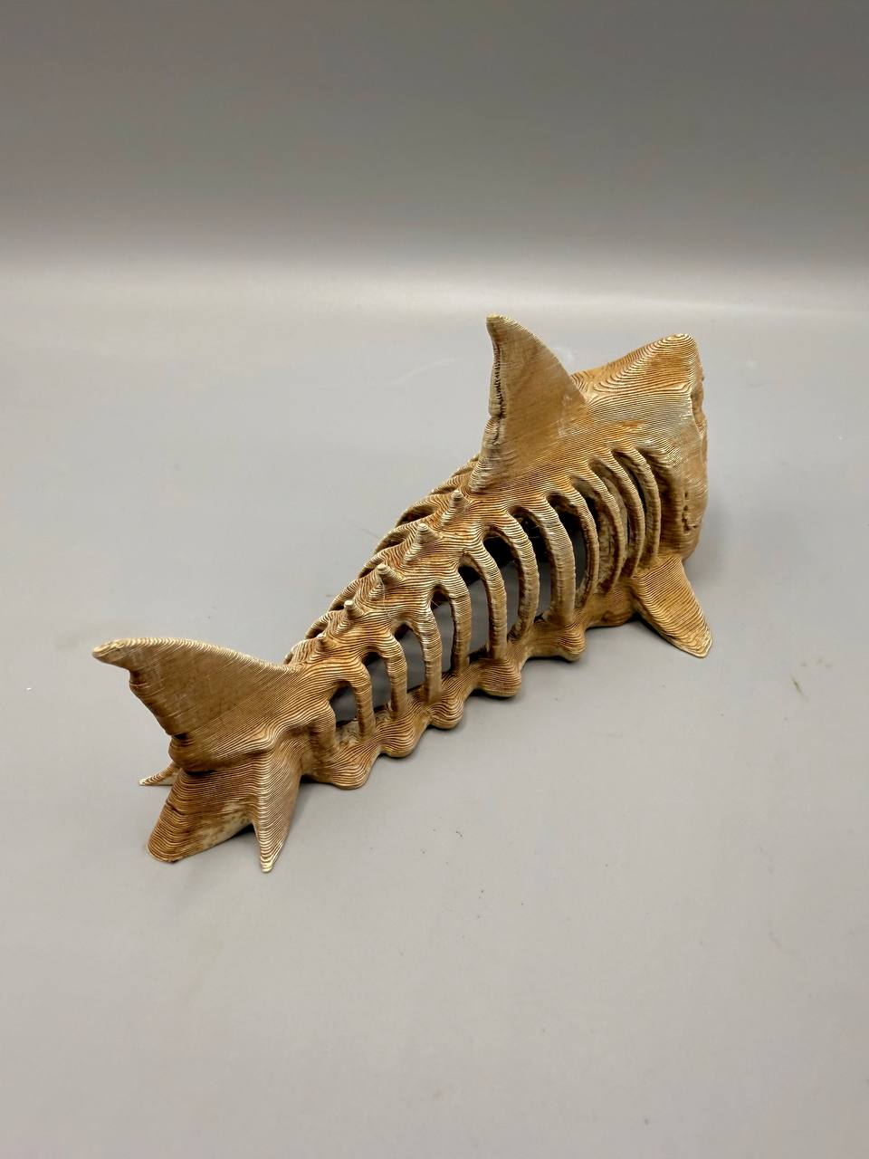 Rear view of FM3DUK shark fossil aquarium hiding cave