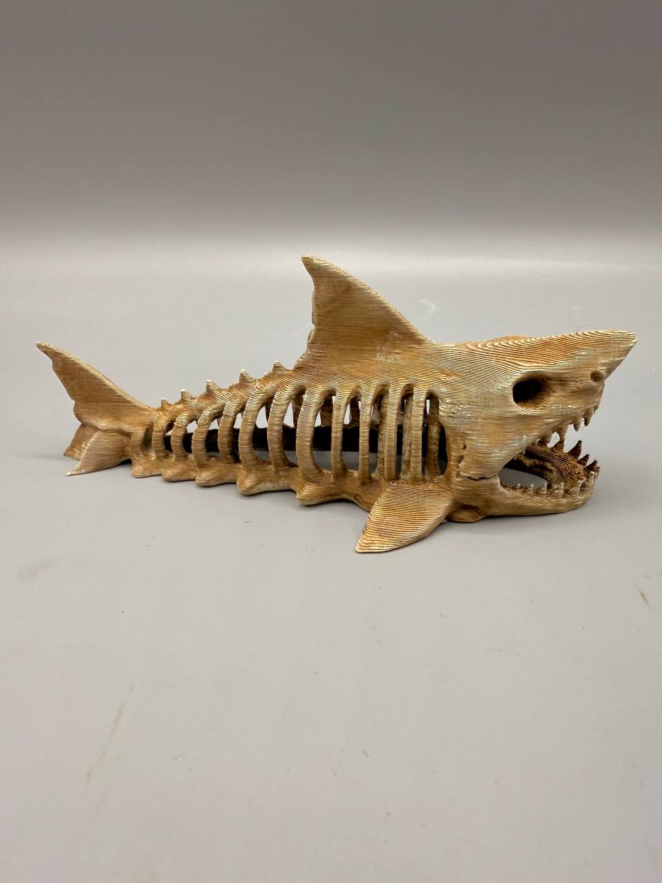 Left-side view of shark fossil aquarium hide