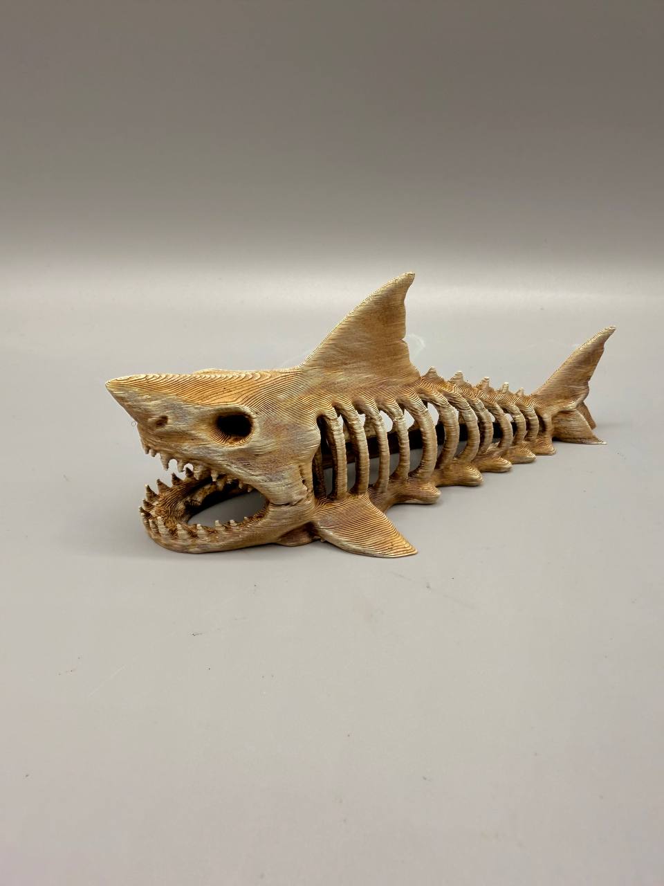 Right-side view of shark fossil aquarium decoration