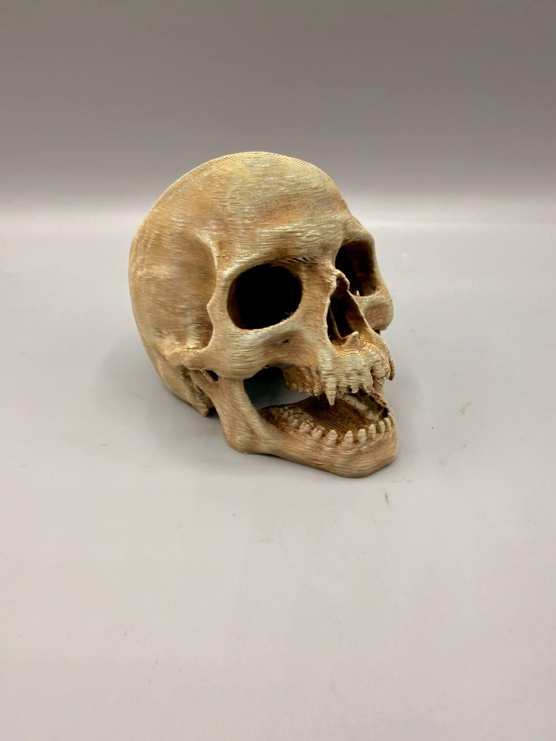 Skull Hide Cave: Realistic Ancient Relic Aquarium Terrarium Decoration - Image 3