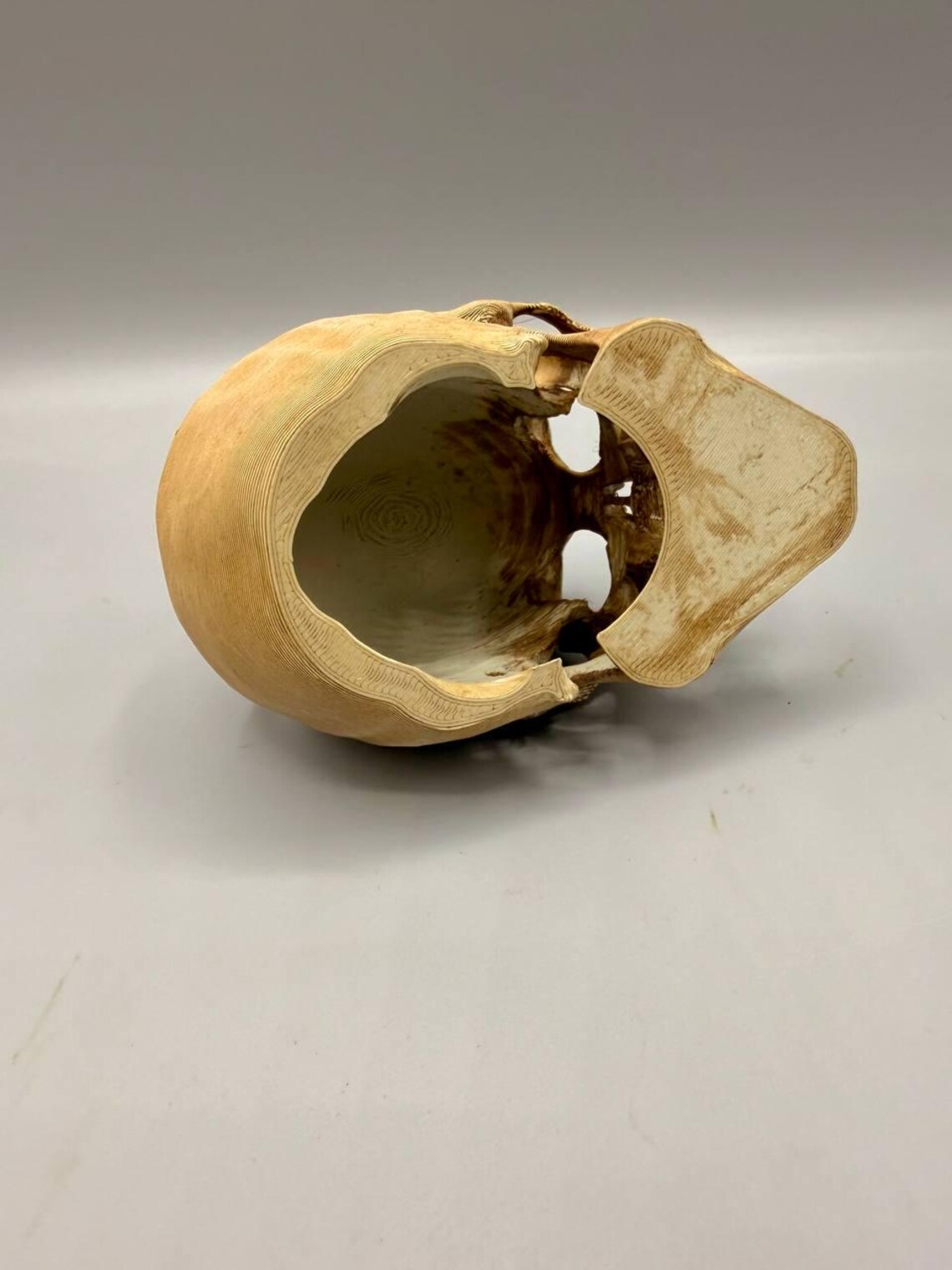 Skull Hide Cave: Realistic Ancient Relic Aquarium Terrarium Decoration - Image 5