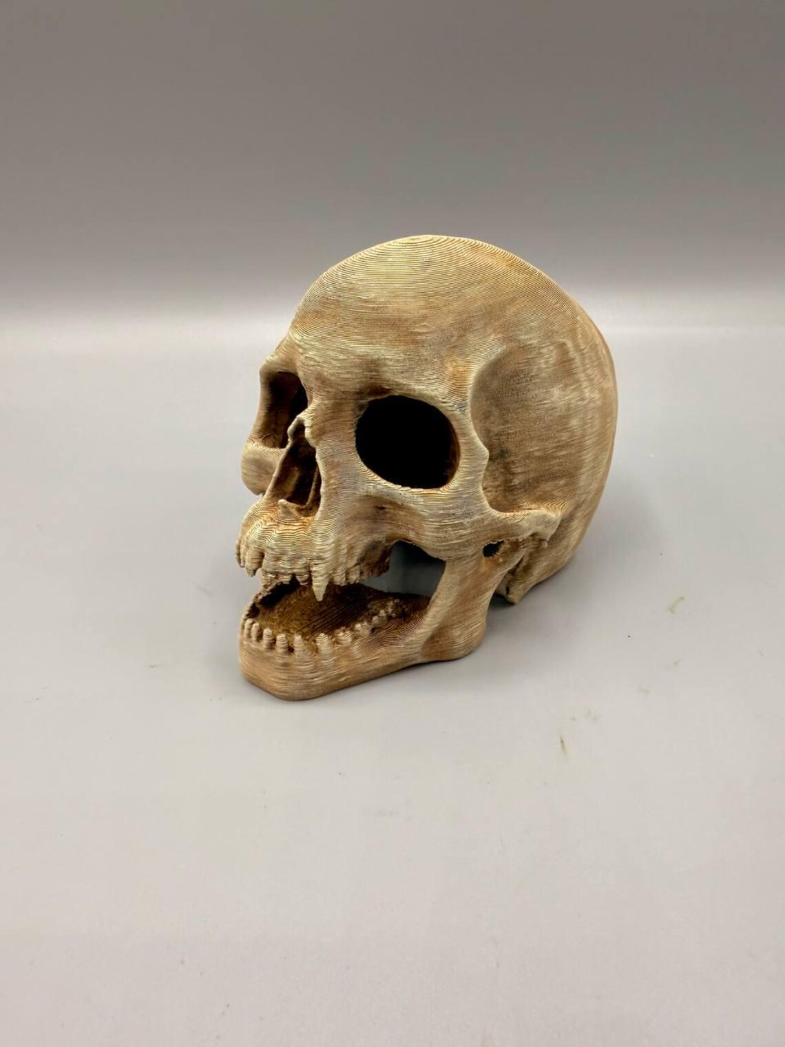Skull Hide Cave: Realistic Ancient Relic Aquarium Terrarium Decoration - Image 6