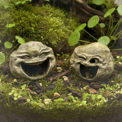 Happy Stone Cave. Fun, Functional, Aquarium & Terrarium Hideaway